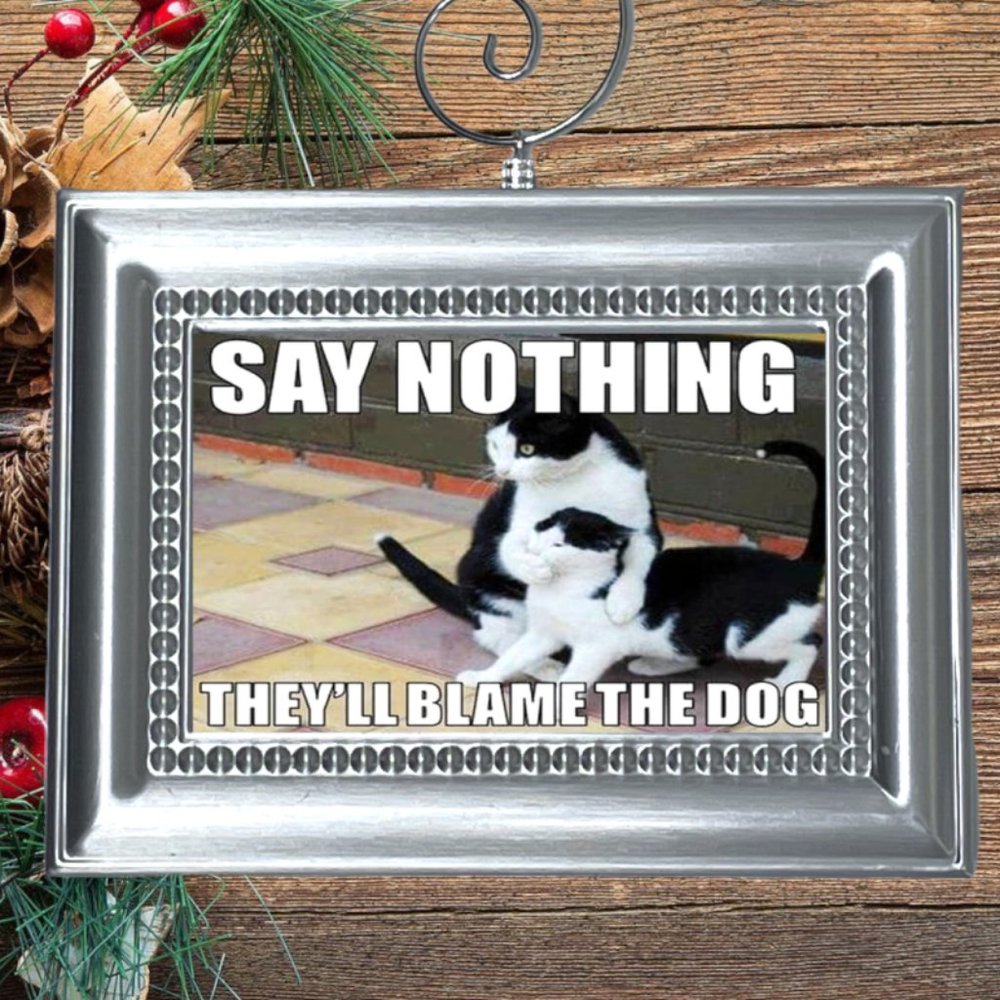 Cat Kitty Kitten Adorable Funny Christmas Tree Ornament